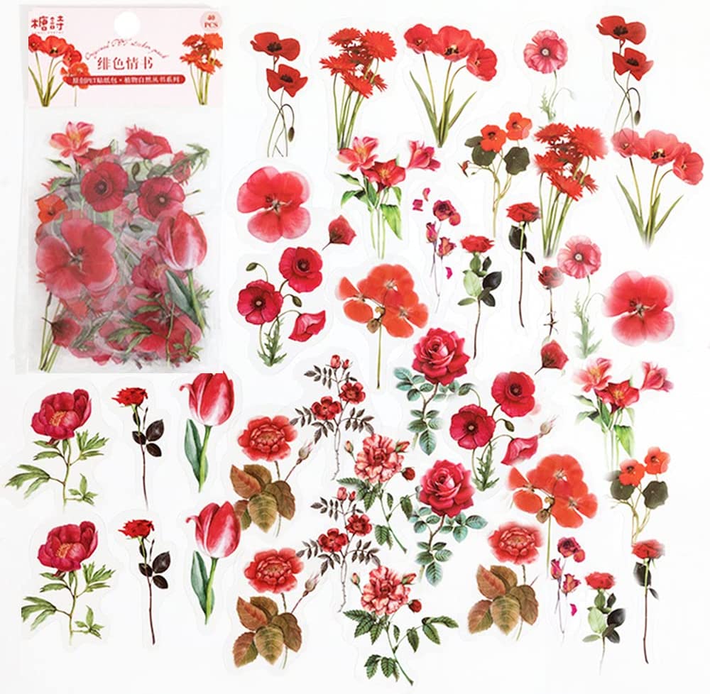 40 Pcs 스크랩북 스티커 애완 동물 투명 꽃 자연  - Art And Craft Photos 리뷰 및 가격